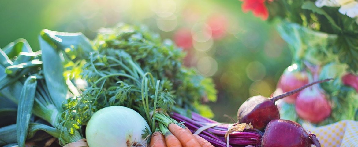 rsz_1agriculture-basket-beets-533360